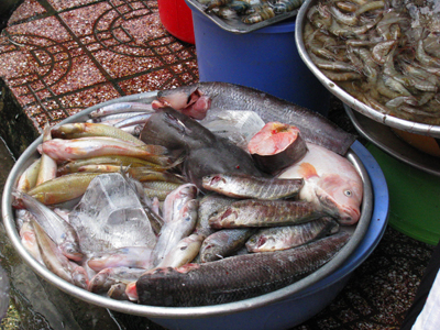 Seafood At Saigon Market