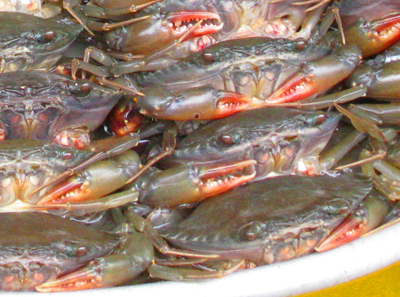Crabs At Saigon Market