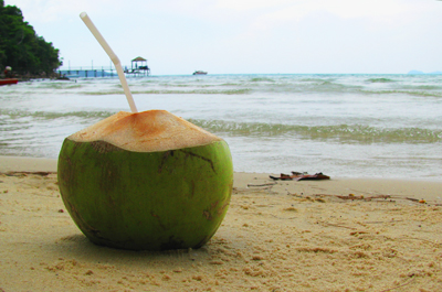 Coconut On Ko Kood Beach