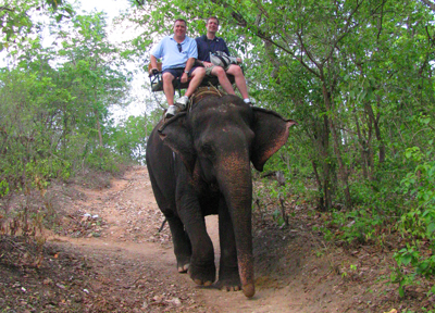 Riding Elephants