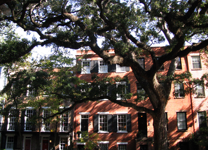 Savannah