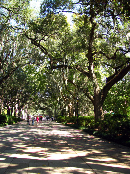 Savannah