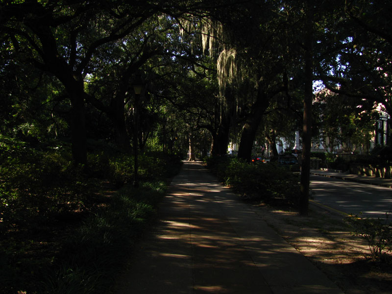Savannah