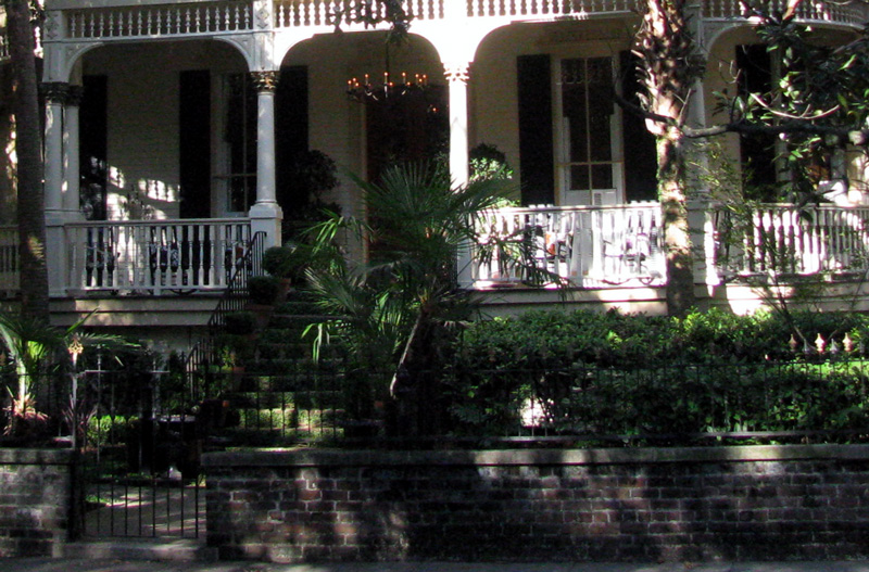 Savannah